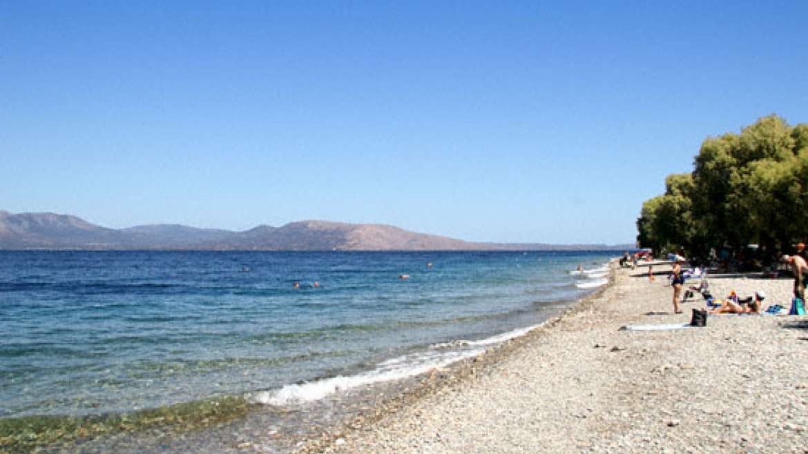 Μεταφορές Μετακομίσεις Κάλαμος