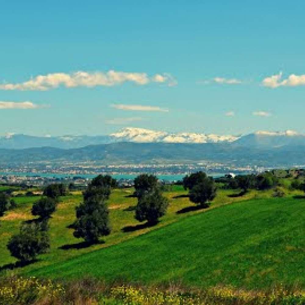 Μεταφορές Μετακομίσεις Σχηματάρι